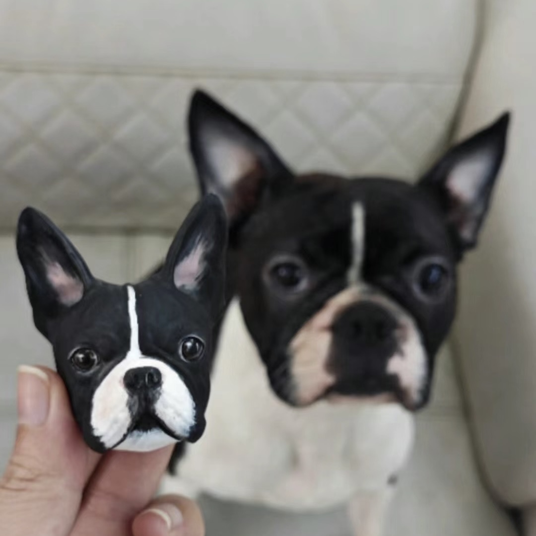 Custom Pet Portraits Face Plaster With Magnet